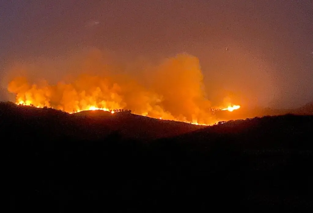 Incendio Forestal Declarado En Lolol Avanza En Hualañé Por Los Coipos Hualañé Vln Radio 4281