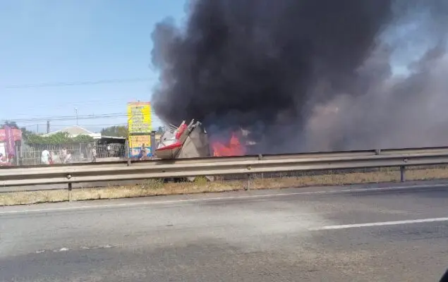 CONAF confirma muerte de piloto en accidente aéreo