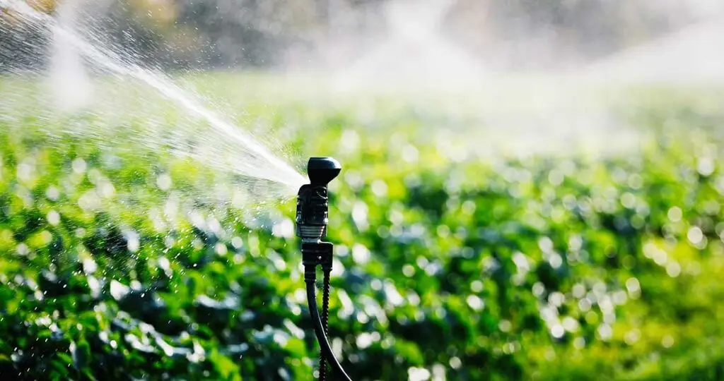 Experto en aguas asegura que riego agrícola y sequía "están bajo control"