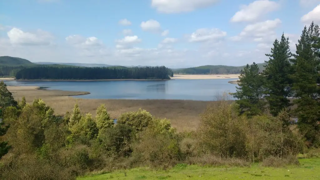 En Laguna Titicura será celebrado este viernes el Día Internacional de Los Humedales