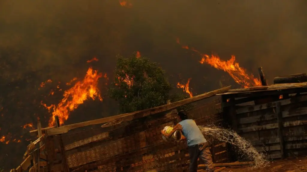 Cifra de fallecidos en incendios forestales aumenta a 99