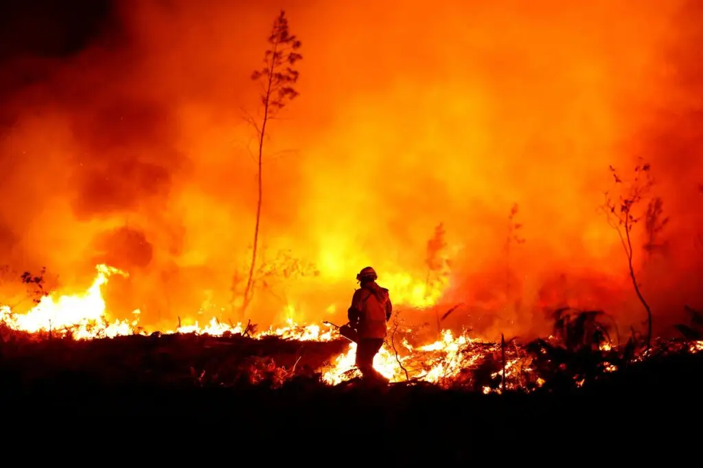 Brigadista muere durante combate de incendio forestal en Quilpué