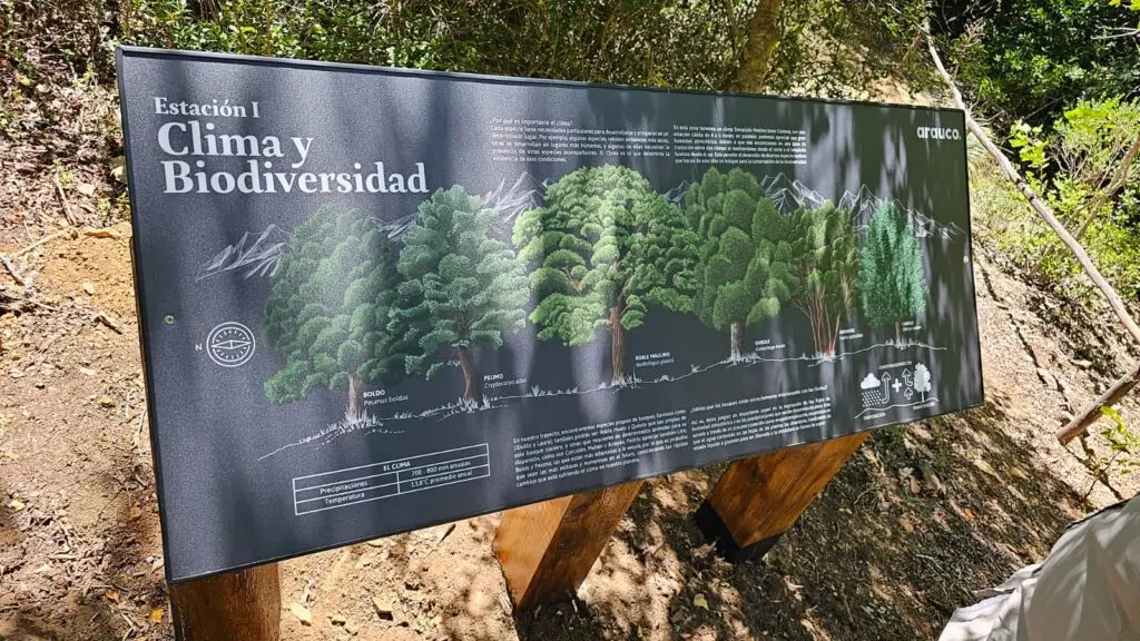 Arauco abrió nuevo sendero Ralbún – Copiulemu en Cobquecura