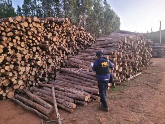 Empresario que pagó $130 millones a grupo armado de La Araucanía quedó en libertad