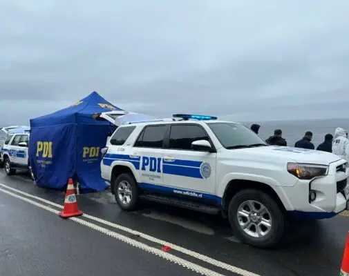 Joven es asesinado tras concertar cita por aplicación: Dejaron su cuerpo en una quebrada de Valdivia