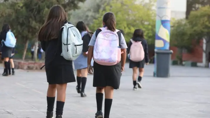 Crisis de la Educación Chilena