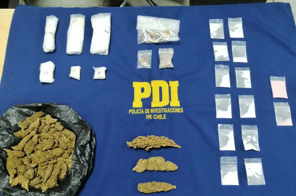 PDI decomisó drogas y detuvo a tres personas en Paso Pehuenche