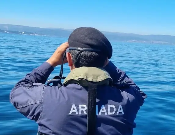 Armada y pescadores buscan embarcación desaparecida tras zarpar desde el Biobío