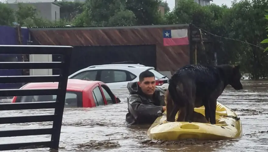 Informe confirma que Senapred no activó la Alerta SAE en inundación de Licantén