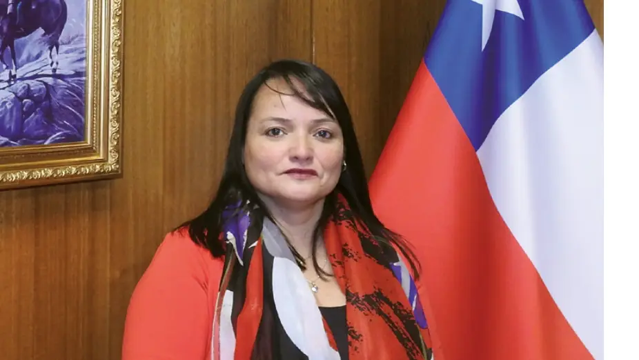 Gobierno pidió renuncia a directora de Dipreca por denuncias de maltrato laboral