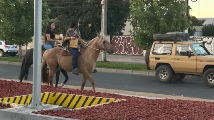 Dos jóvenes llegan a caballo para comprar en McDonald's de Talca