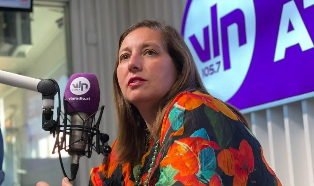 Senadora Vodanovic valoró apoyo transversal al proyecto de Ley Antitetorrista