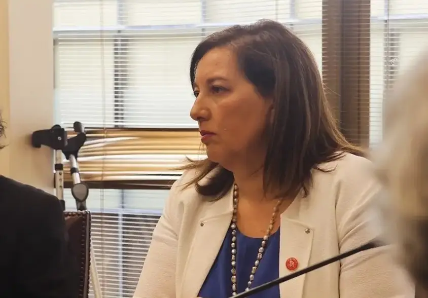 Senadora Vodanovic defendió acuerdos del pacto oficialista para definir candidatos únicos en municipales 2024