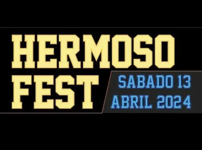 Vecinos de Remolino de oponen a festival de música emergente "Hermosofest" en Hualañé