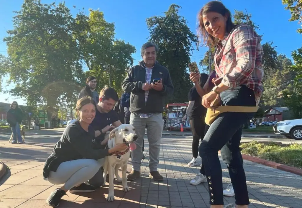 Cinco perros encontraron hogar durante jornada de adopción en la Alameda de Curicó