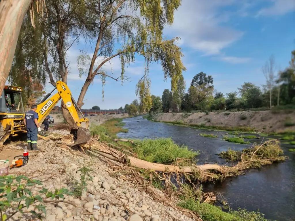 Municipio de Curicó inició trabajos de limpieza en borde del río Guaiquillo