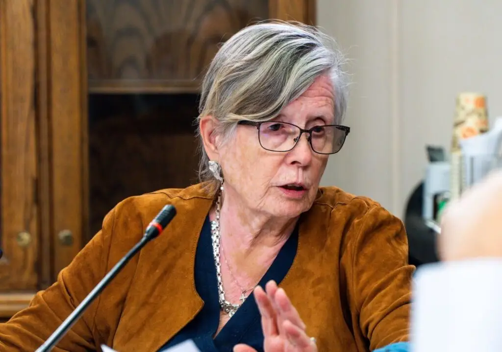 Diputada Bulnes ofició al Gobierno y a la DGA para exigir un aeropuerto para el Maule
