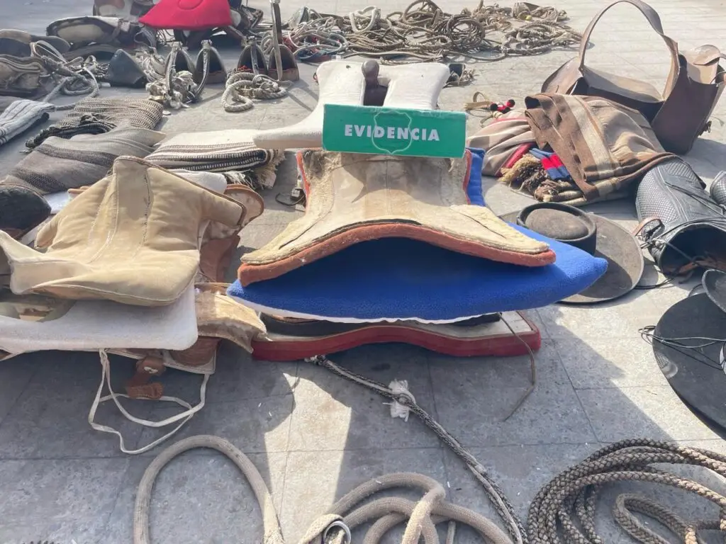 Carabineros de Curicó recupera aperos de huaso robados y avaluados en más de $15 millones