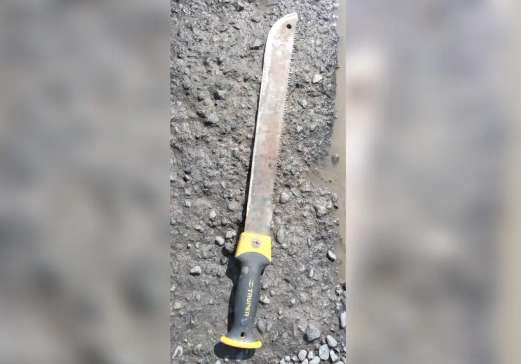 Sujeto que atacó a su hermano con un machete en Lontué quedó en prisión preventiva