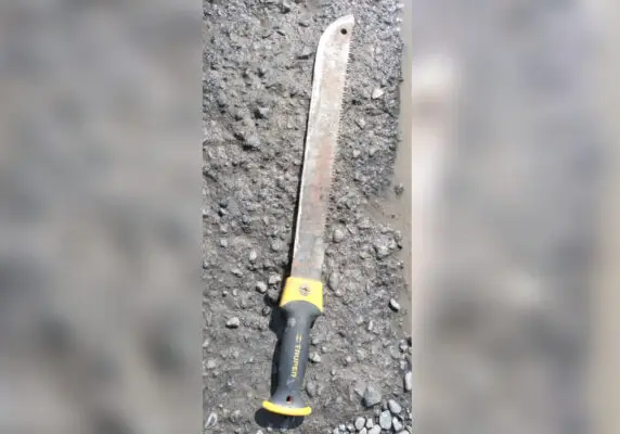 Sujeto que atacó a su hermano con un machete en Lontué quedó en prisión preventiva