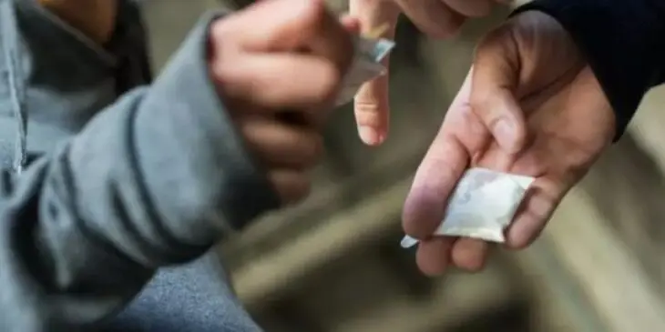 Decretan prisión preventiva para seis imputados por tráfico de droga y asociación ilícita en Curicó