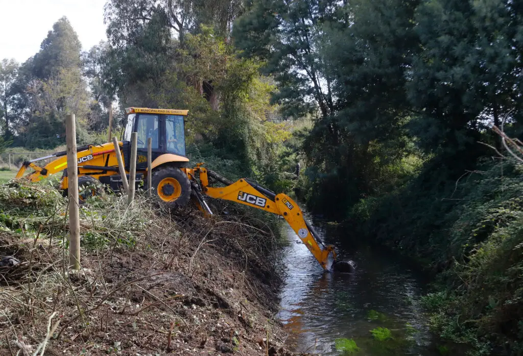 Cuadrillas municipales avanzan en limpieza de canales en Curicó
