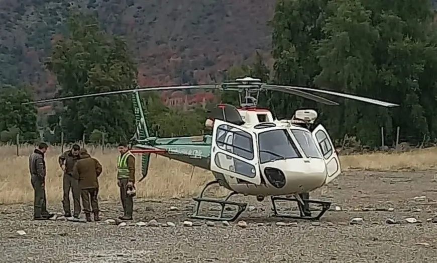 Diputado Pulgar gestionó helicóptero para rescate de animales atrapados por nevadas