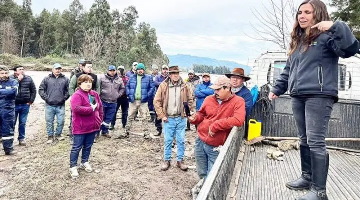 Obras de encauzamiento de 2023 fueron arrasadas por nueva crecida del Río Mataquito en La Huerta