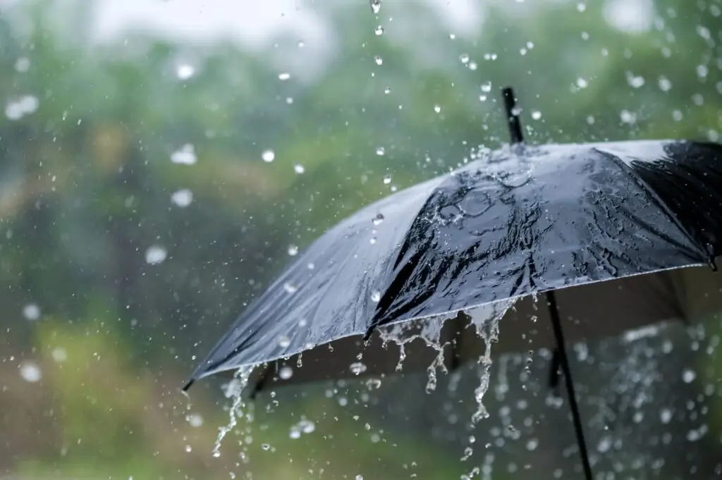 Sistema frontal y río atmosférico ingresan esta noche a Curicó con intensa lluvia hasta el viernes