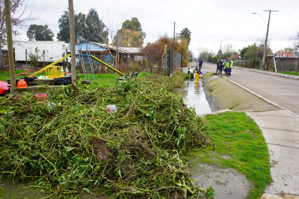 Municipio de Curicó refuerza limpieza preventiva de canales ante sistema frontal