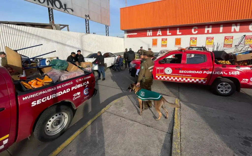 Municipio de Curicó y Carabineros realizaron operativo de fiscalización al comercio ambulante ilegal