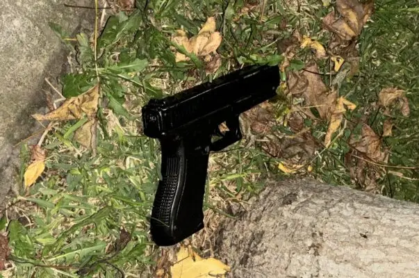 Concejala de Curicó encontró arma abandonada en la vía pública