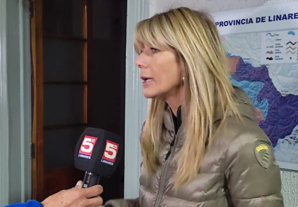 Senadora Rincón ofició al MOP acusando incumplimientos en proyecto de ruta costera en Pelluhue