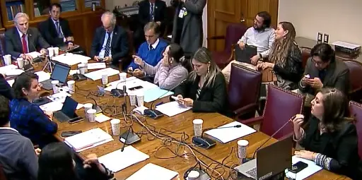 Senadora Vodanovic cuestionó a ministra Toro: ¿Cómo vamos con la reconstrucción?