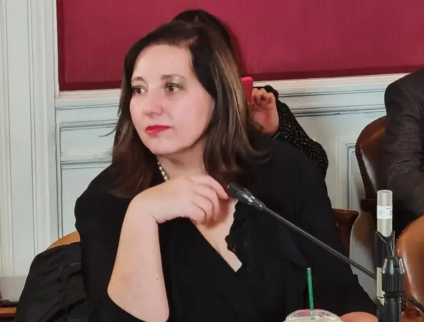 Senadora Vodanovic solicitó al ministerio de Energía extender plazo para postular al Subsidio Eléctrico