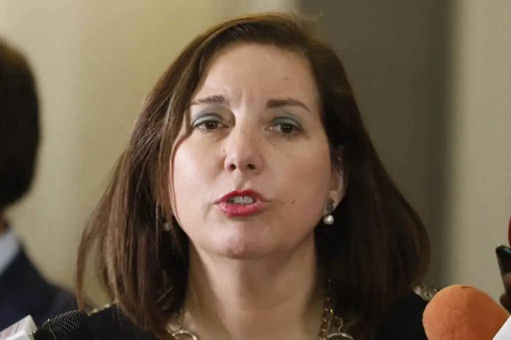 Senadora Vodanovic solicitó auditoria y medidas tras masivos cortes eléctricos en el Maule