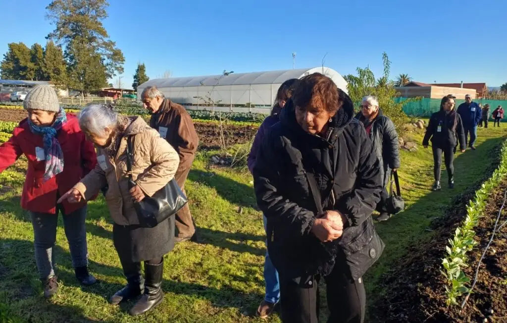 Clubes de adultos mayores de Curicó visitaron Granja Agroecológica Educativa Municipal de Curicó