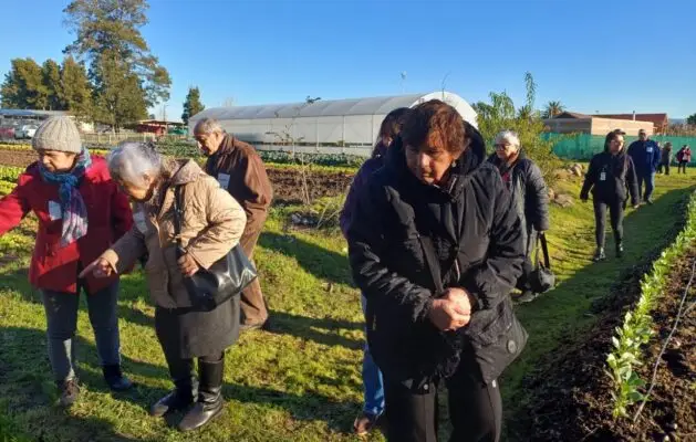 Clubes de adultos mayores de Curicó visitaron Granja Agroecológica Educativa Municipal de Curicó