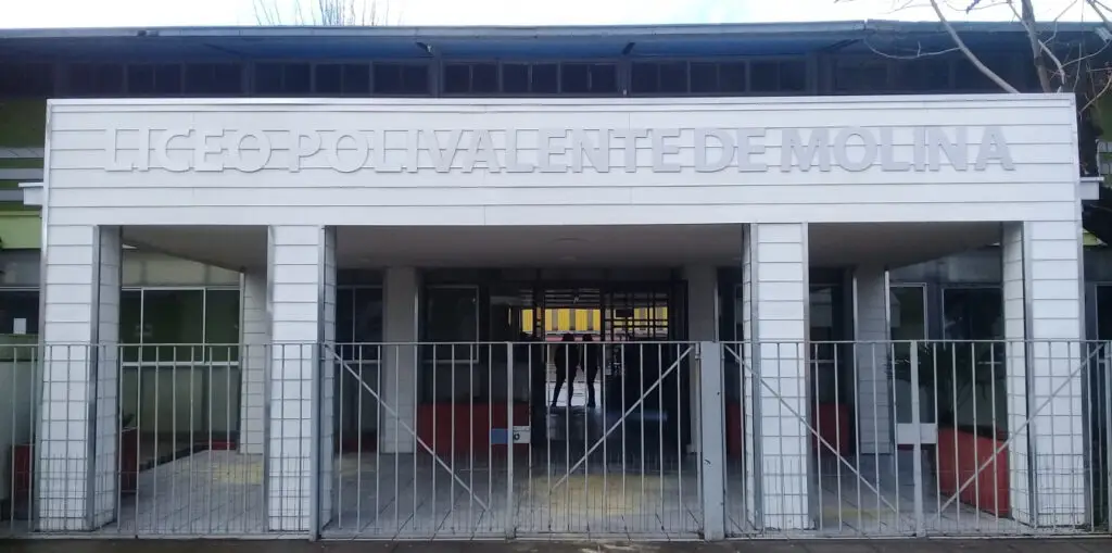 Colegio de Profesores denuncia a dirección del Liceo Polivalente de Molina por acoso a profesor que se suicidó