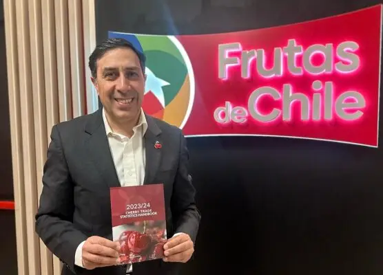 El mundo frutícola se prepara para la Expo Cereza 2024 en Romeral