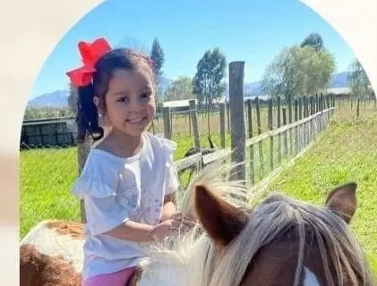 Director del Hospital de Curicó se refirió a muerte de niña tras quedar con edema cerebral en Talca