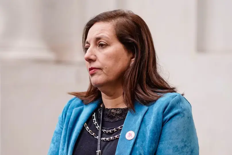 Senadora Vodanovic respaldó decisión del Gobierno de caducar la concesión de Enel