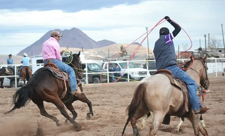 Este sábado se realizará la Gran Fiesta del Lazo en el sector La Unión de Romeral