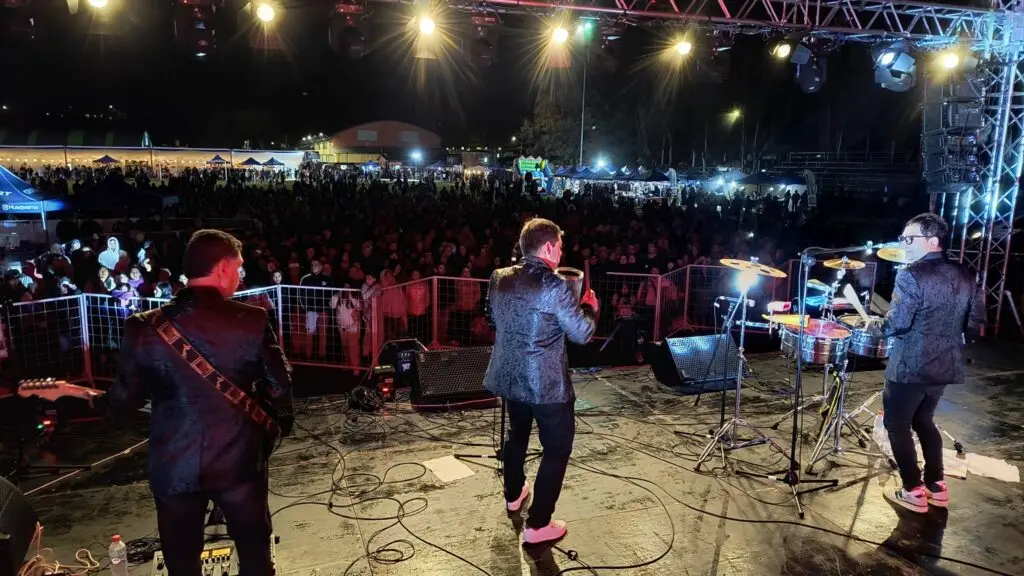 Con artistas y emprendedores locales se celebró la Fiesta de la Chilenidad 2024 en Hualañé