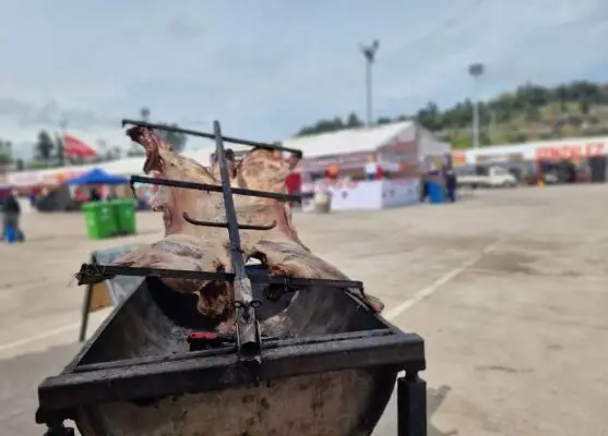 Ramaderos de Curicó reclaman pérdidas durante Fiestas Patrias y se reunirán con el municipio