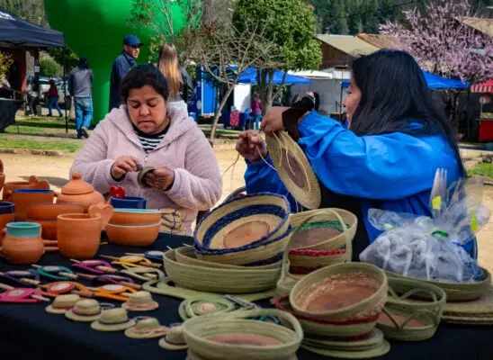 Día de Campo de usuarios de Prodesal se realizó en el Parque Colonial de Vichuquén