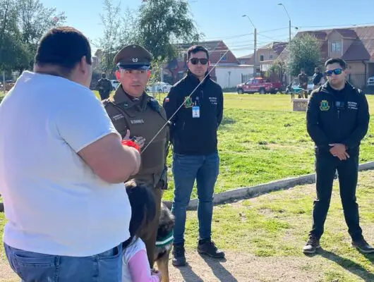Carabineros y Seguridad Pública de Curicó fiscalizaron uso de hilo curado en Don Sebastián de Rauquén