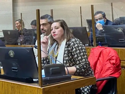 Senadora Vodanovic criticó a la derecha por rechazo a perspectiva de género y derechos humanos en creación del Ministerio de Seguridad