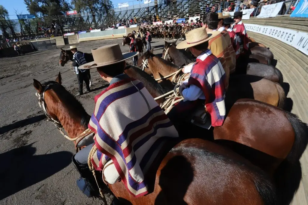 Este fin de semana se desarrollará el Campeonato Nacional de Rodeo Escolar en Curicó