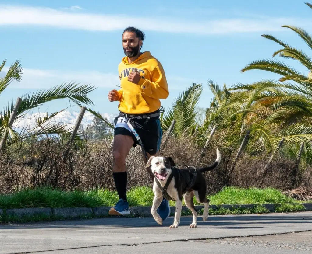 Tercera corrida “Yo Aperro con Rauco” tendrá temática de Halloween y será a beneficio de la Teletón